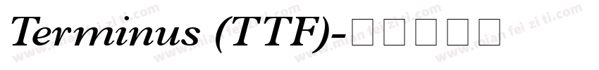 Terminus (TTF)字体转换